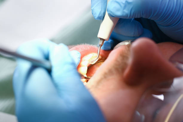 Best Emergency Pediatric Dentist  in Greenville, MI